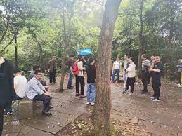 九游旧报交换实现阅读再利用，环保与智慧共赢